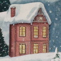 082954-101259-winterberg-dekostoff-10