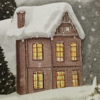 082954-101676-winterberg-dekostoff-10