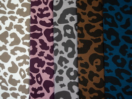 Aspen Sweat Leo 009675 433938 183285 177299 256299 q1