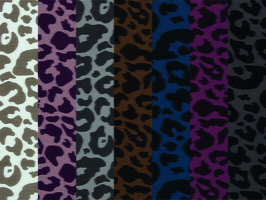 Aspen Sweat Leo q1