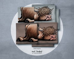 ThorstenBerger CheekyAnimals 2.0 Hochlandrind 968175 968252 q Typo